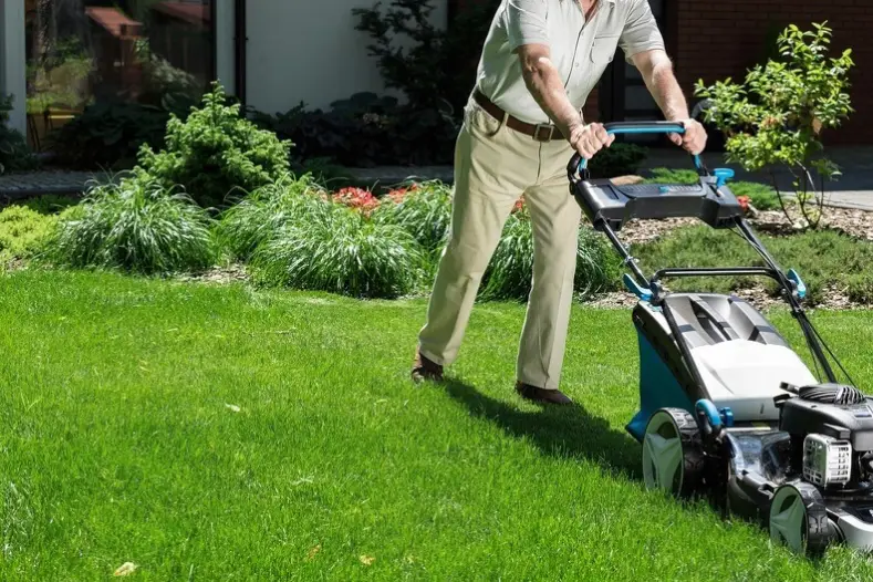 Can You Mow Wet Grass in Indio, CA