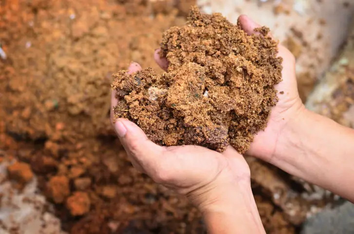 How Long Does Mulch Last in Indio, CA