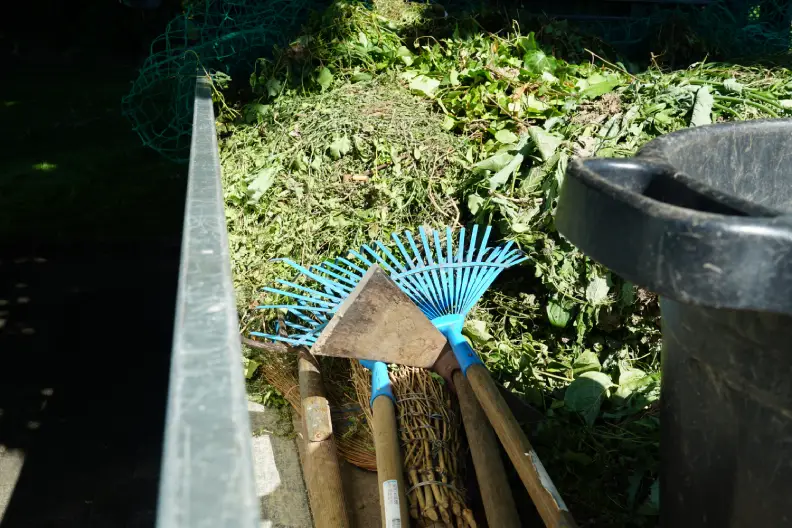 How to Clear a Yard Full of Weeds Indio, CA