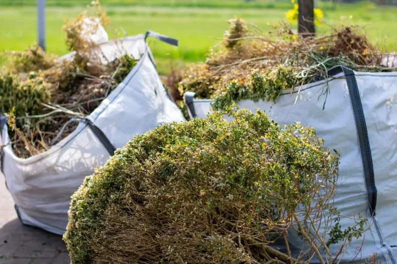 How to Clear a Yard Full of Weeds in Indio, CA