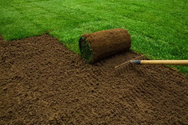 How to Lay Sod Over Existing Lawn Indio, CA