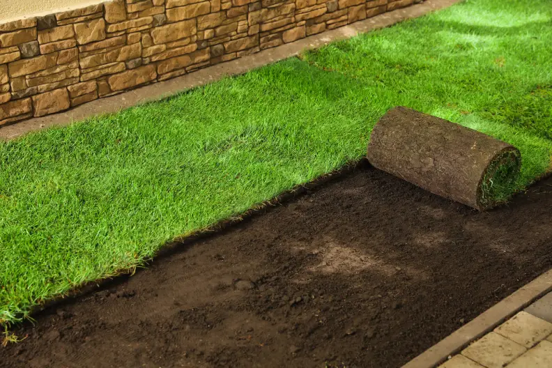 How to Lay Sod Over Existing Lawn in Indio, CA