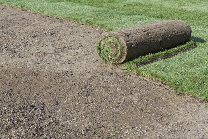 How Long After Installing Sod Can You Walk On It in Indio, CA