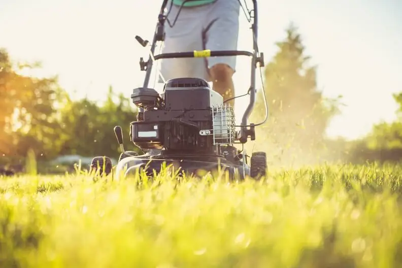 Lawn Mowing in Indio, CA