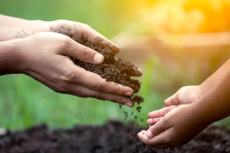 Mulching Indio, CA