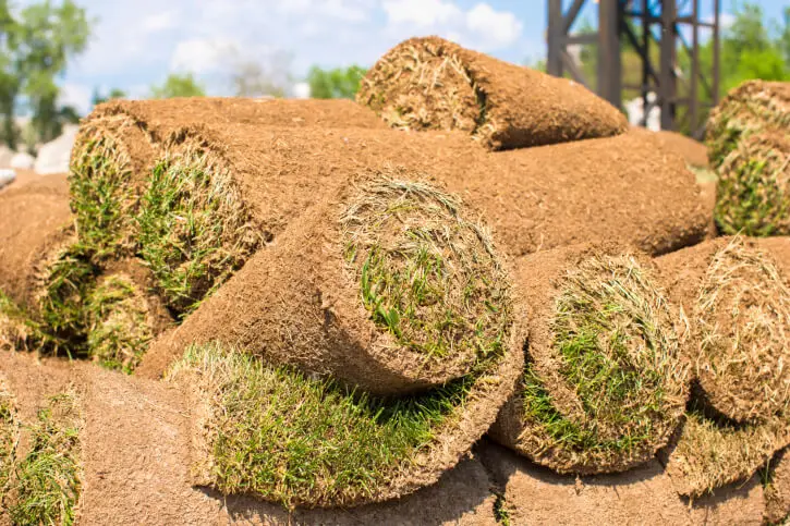 Sod Installation in Indio, CA - Landscaper