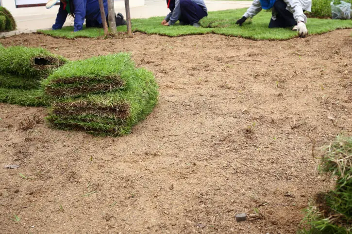 Sod Installation in Indio, CA