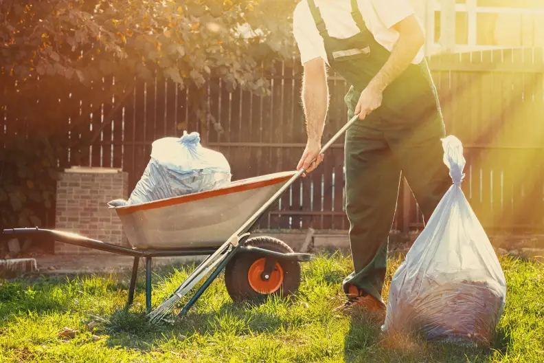 Yard Cleanup Indio, CA