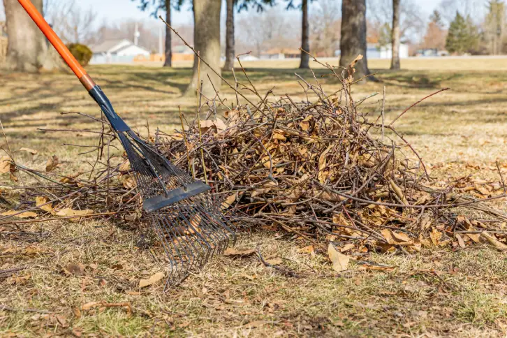 Yard Cleanup in Indio, CA - Landscaper