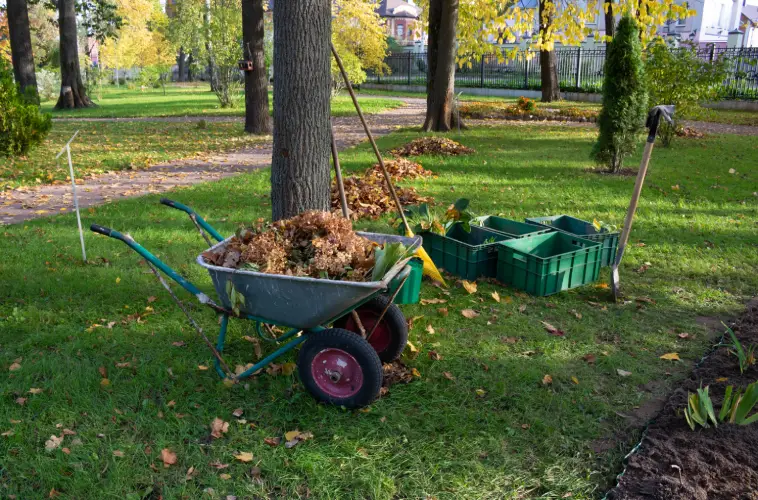 Yard Cleanup in Indio, CA